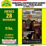 Hacendados Quemú Quemú S.A. y Puig-Ruano | Asociación Rural del Sur Pampeano | Próximo Remate Feria el Jueves 28 de noviembre 2024