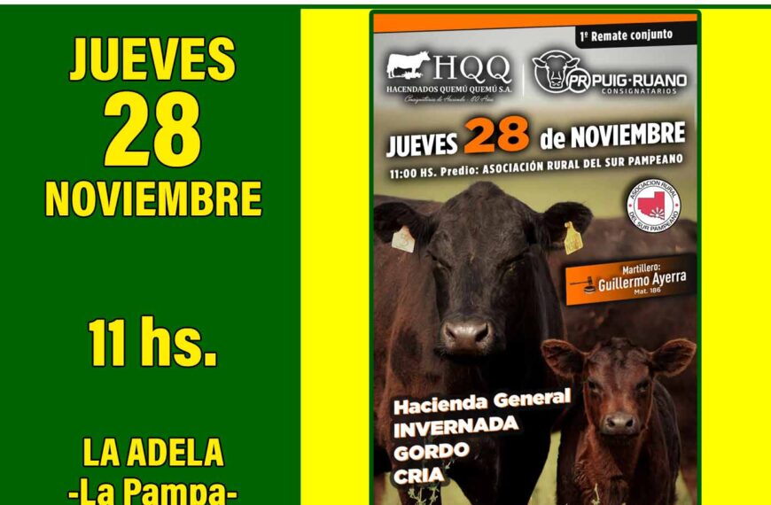 Hacendados Quemú Quemú S.A. y Puig-Ruano | Asociación Rural del Sur Pampeano | Próximo Remate Feria el Jueves 28 de noviembre 2024