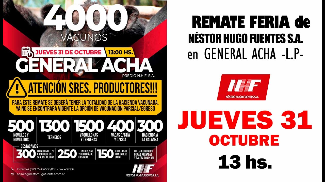 Remate de Néstor Hugo Fuentes S.A. | General Acha | 31/10/2024