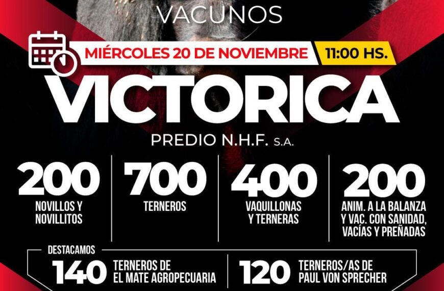 Néstor Hugo Fuentes S.A. | Victorica, La Pampa | Próximo Remate Feria el Miércoles 20 de noviembre 2024