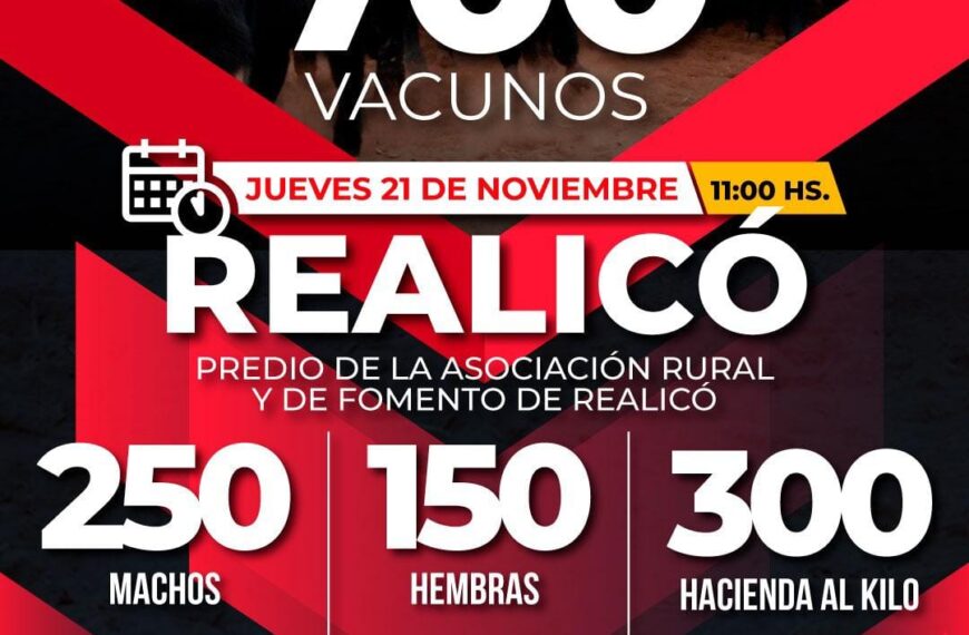 Néstor Hugo Fuentes S.A. | Realicó, La Pampa | Próximo Remate Feria el Jueves 21 de noviembre 2024