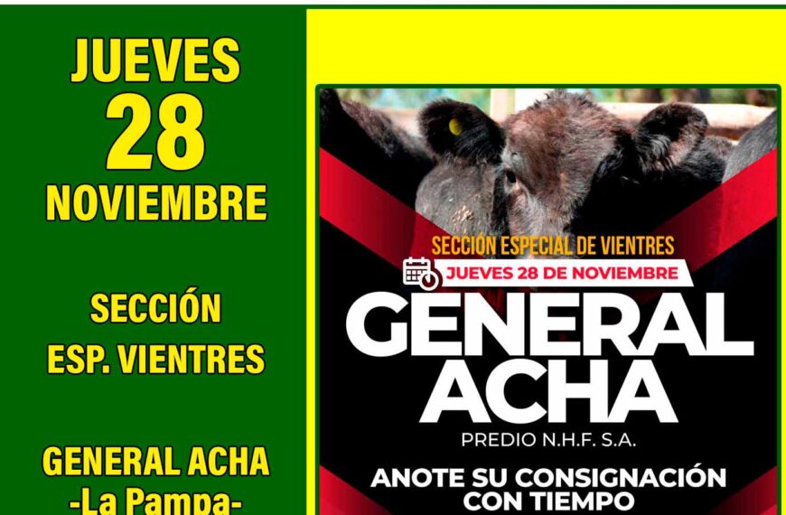 Néstor Hugo Fuentes S.A. | General Acha, La Pampa | Próximo Remate Feria el Jueves 28 de noviembre 2024