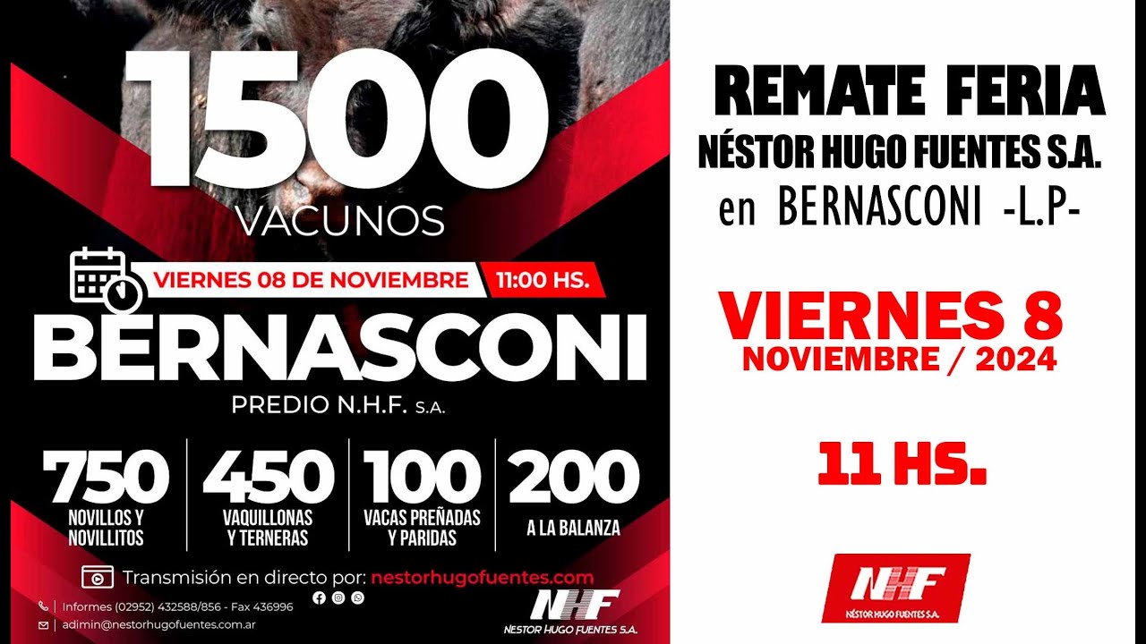 Remate de Néstor Hugo Fuentes S.A. | Bernasconi, La Pampa | 08/11/2024