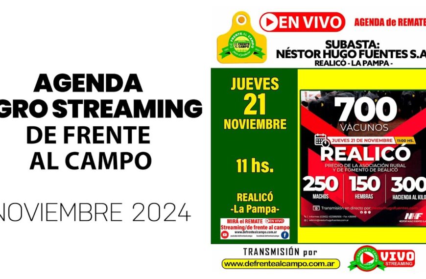 Remate de Néstor Hugo Fuentes S.A. | Realicó, La Pampa | 21/11/2024