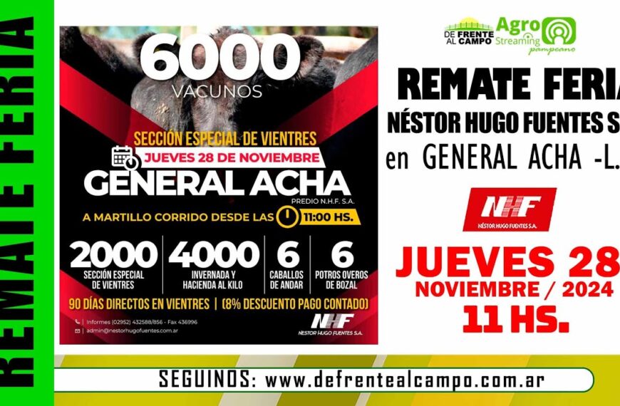 Remate de Néstor Hugo Fuentes S.A. | General Acha, La Pampa | Jueves 28/11/2024