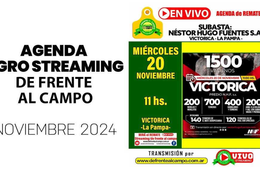 Remate de Néstor Hugo Fuentes S.A. | Victorica, La Pampa | 20/11/2024