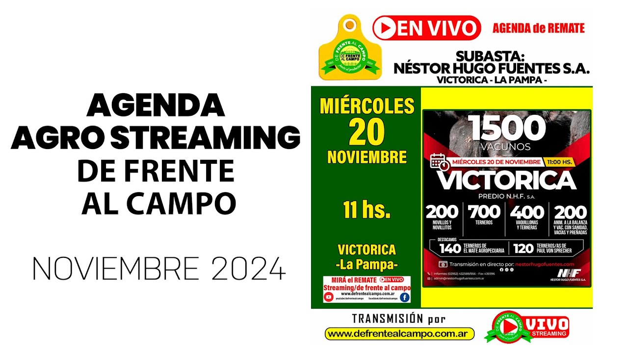 Remate de Néstor Hugo Fuentes S.A. | Victorica, La Pampa | 20/11/2024