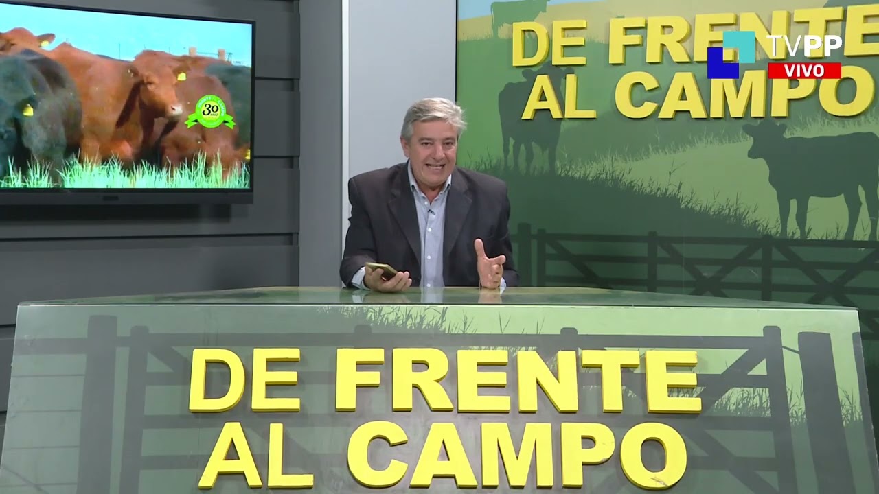 DFC – Canal 3 / Directv (Canal 139 L.P.) – martes 5 / noviembre / 2024