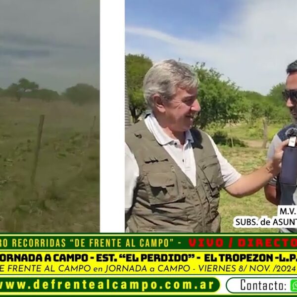 Entrevista: Ricardo Baraldi destacó el manejo sustentable y las nuevas tecnologías en una jornada a campo en “El Perdido”