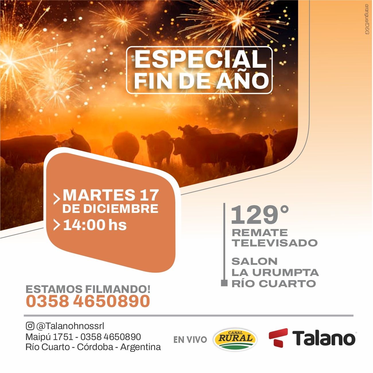 Talano Hnos | Río Cuarto, Córdoba | Próximo Remate Feria el Martes 17 de diciembre 2024