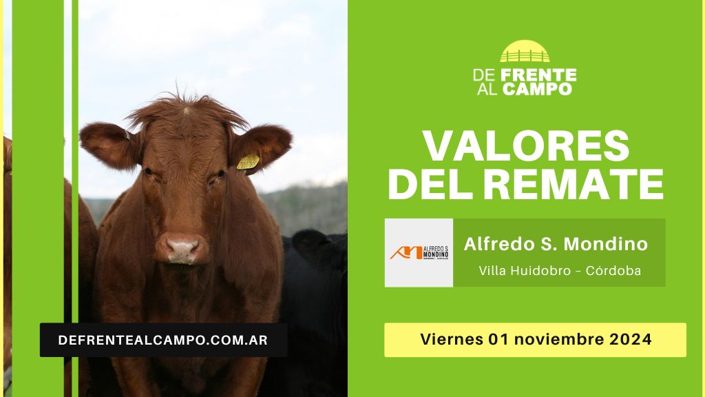 Valores del remate de Alfredo S. Mondino | Villa Huidobro – Córdoba | 01-11-2024