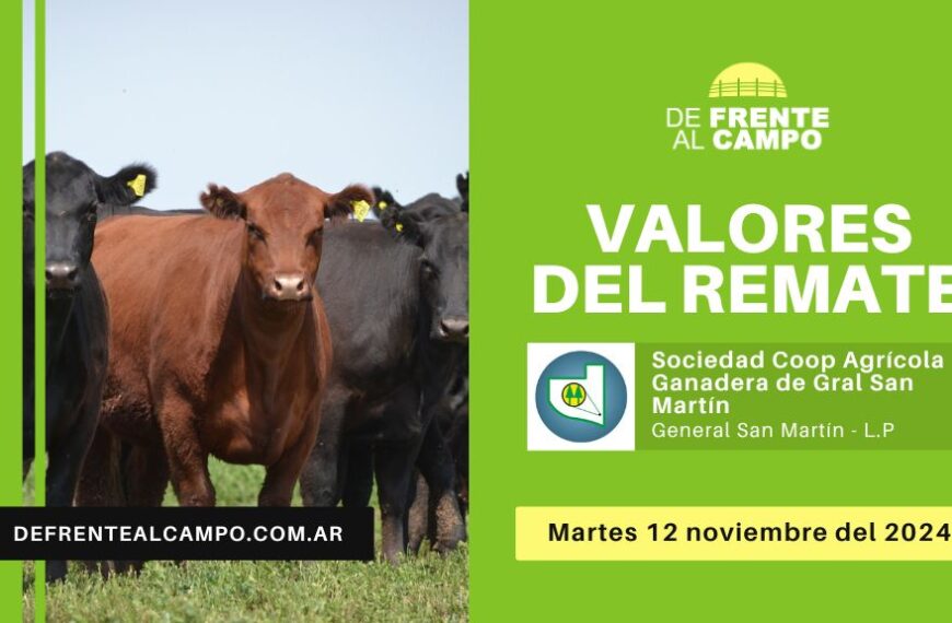 Valores del remate de Sociedad Cooperativa Agrícola Ganadera Ltda. | General San Martín – L.P. | 12-11-2024