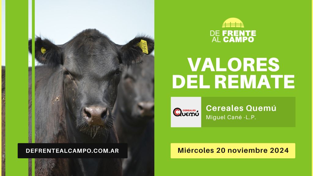 Valores del remate de Grupo Quemu S.A. | Miguel Cané – La Pampa | 20/11/2024