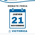 Vicar Ganadera S.A. | Victorica – La Pampa | Próximo Remate Feria el jueves 21 de noviembre del 2024