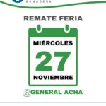 Vicar Ganadera S.A. | General Acha – La Pampa | Próximo Remate Feria el miércoles 27 de noviembre del 2024