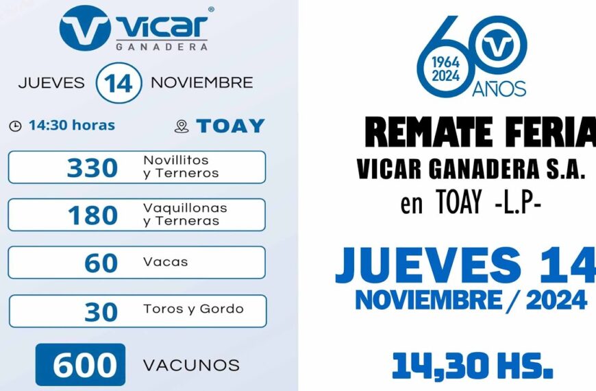 Remate de Vicar Ganadera S.A. | Toay – La Pampa | 14/11/2024