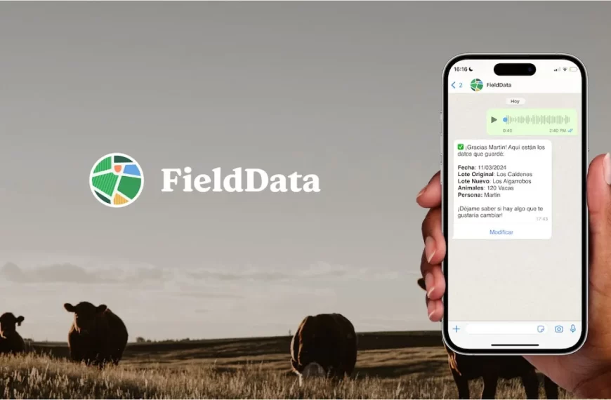 Lanzan App para gestionar la ganadería por WhatsApp