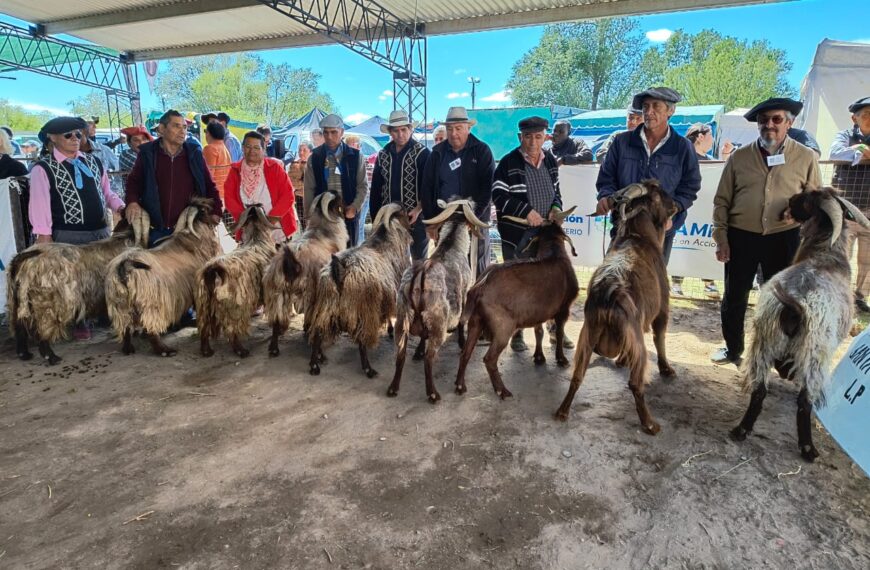 Fiesta Provincial del Chivito: fin de semana de jura, remate y premiaciones