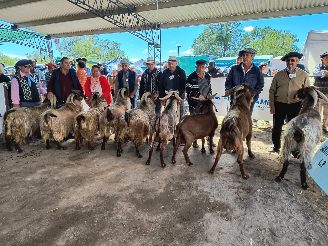 Fiesta Provincial del Chivito: fin de semana de jura, remate y premiaciones