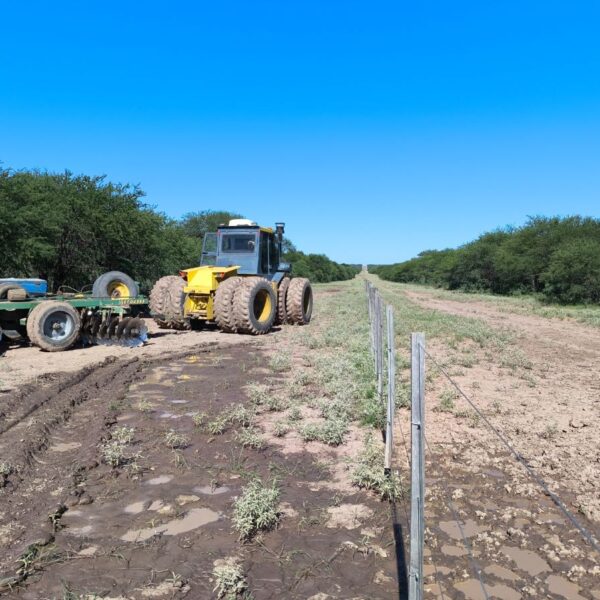 Intenso trabajo de Gobierno para mantener limpias las picadas cortafuegos