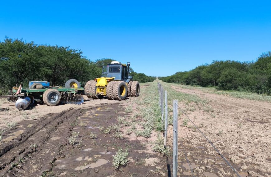 Intenso trabajo de Gobierno para mantener limpias las picadas cortafuegos