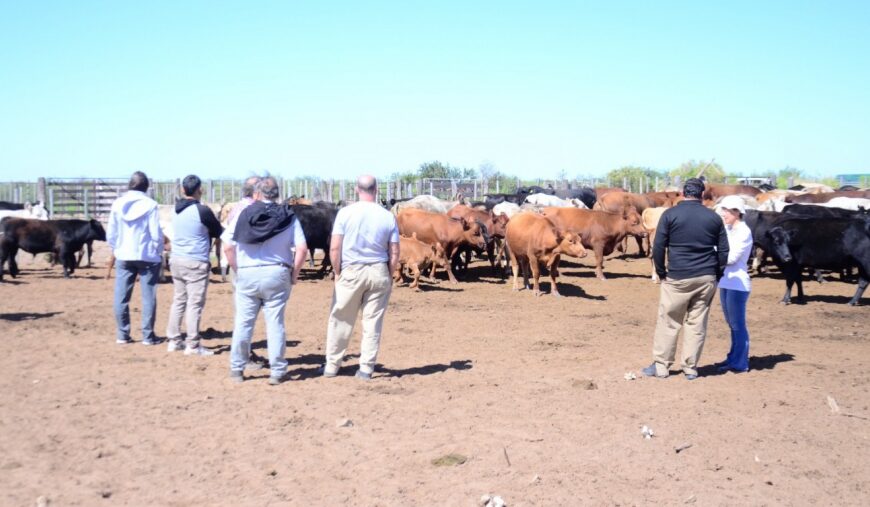 Producción recorrió el oeste provincial ante la mortandad de animales