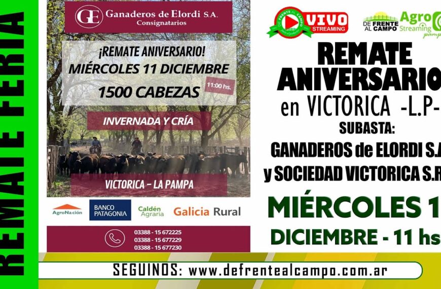 Remate de Ganaderos de Elordi S.A. | Victorica, La Pampa | miércoles 11/12/2024