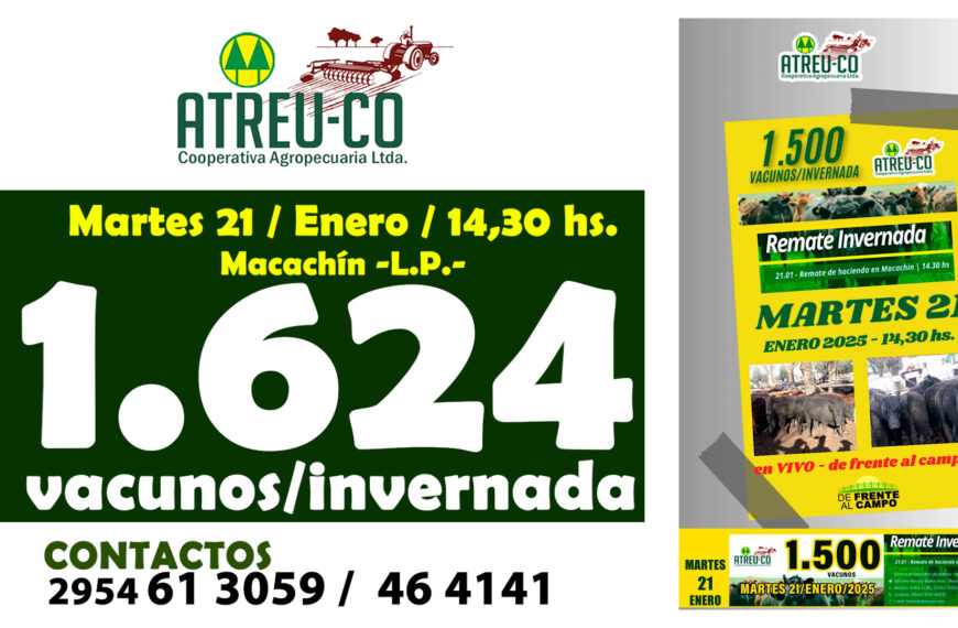 Remate Feria de Atreu-Có Coop. Agrop. – Macachín – L.P. | 21-01-2025