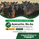 Colombo y Magliano S.A | Sociedad Rural de Ayacucho, Ayacucho, Bs. As. | Próximo Remate Feria el Jueves, 16 de Enero 2025