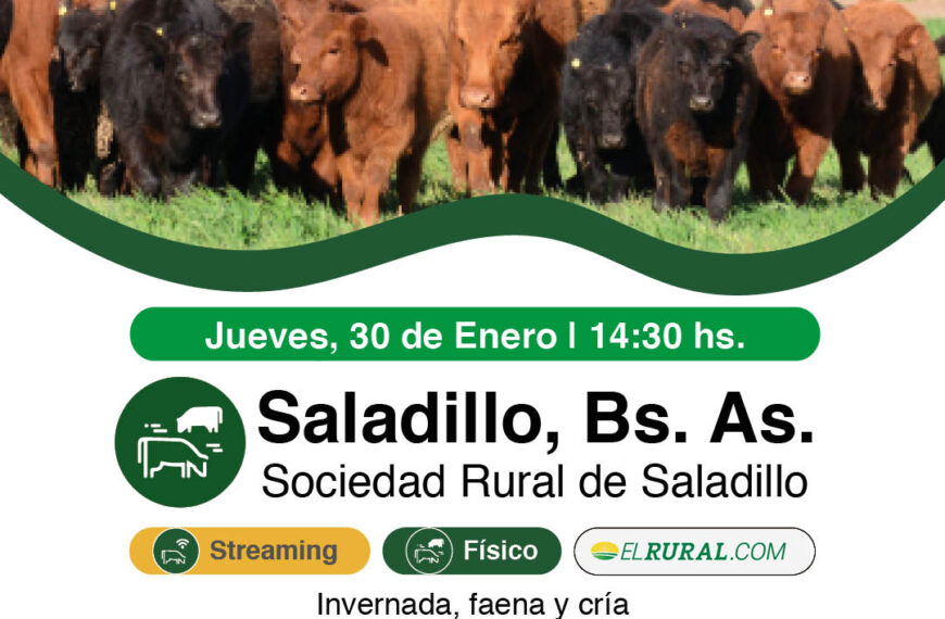 Colombo y Magliano S.A | Sociedad Rural de Saladillo, Buenos Aires | Próximo Remate Feria el Jueves 30 de Enero de 2025