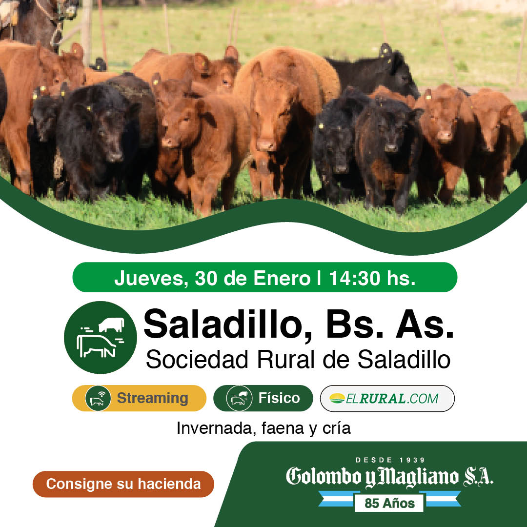 Colombo y Magliano S.A | Sociedad Rural de Saladillo, Buenos Aires | Próximo Remate Feria el Jueves 30 de Enero de 2025