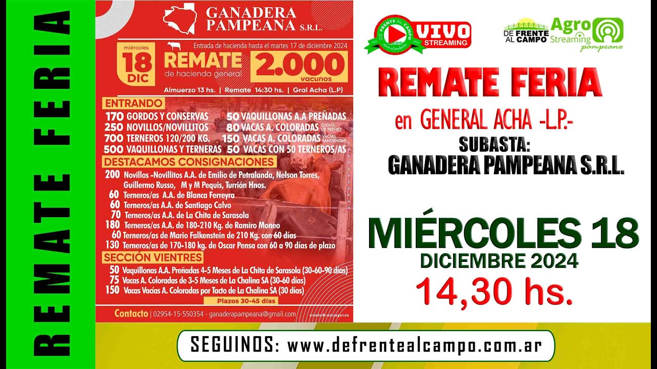 Remate de Ganadera Pampeana S.R.L. | General Acha (L.P.) | 18/12/2024