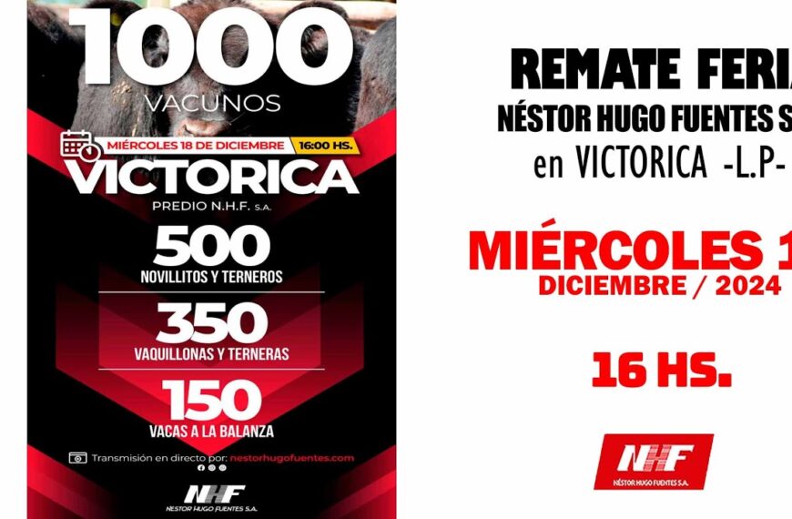 Remate de Néstor Hugo Fuentes S.A. | Victorica | 18/12/2024