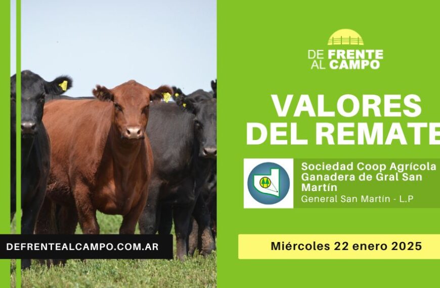 Valores del remate de Sociedad Cooperativa Agrícola Ganadera Ltda. | General San Martín – L.P. | 22-01-2025