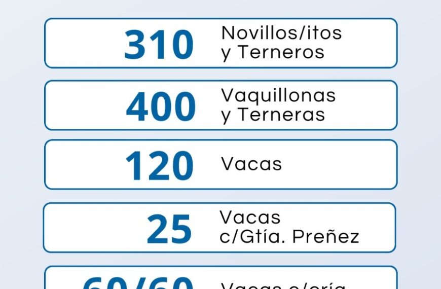 Vicar Ganadera S.A. | Toay | Próximo Remate Feria el Jueves 23 de Enero 2025