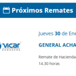 Vicar Ganadera S.A. | General Acha| Próximo Remate Feria el Jueves 30 de Enero 2025