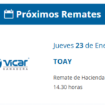 Vicar Ganadera S.A. | Toay | Próximo Remate Feria el Jueves 23 de Enero 2025