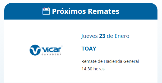 Vicar Ganadera S.A. | Toay | Próximo Remate Feria el Jueves 23 de Enero 2025