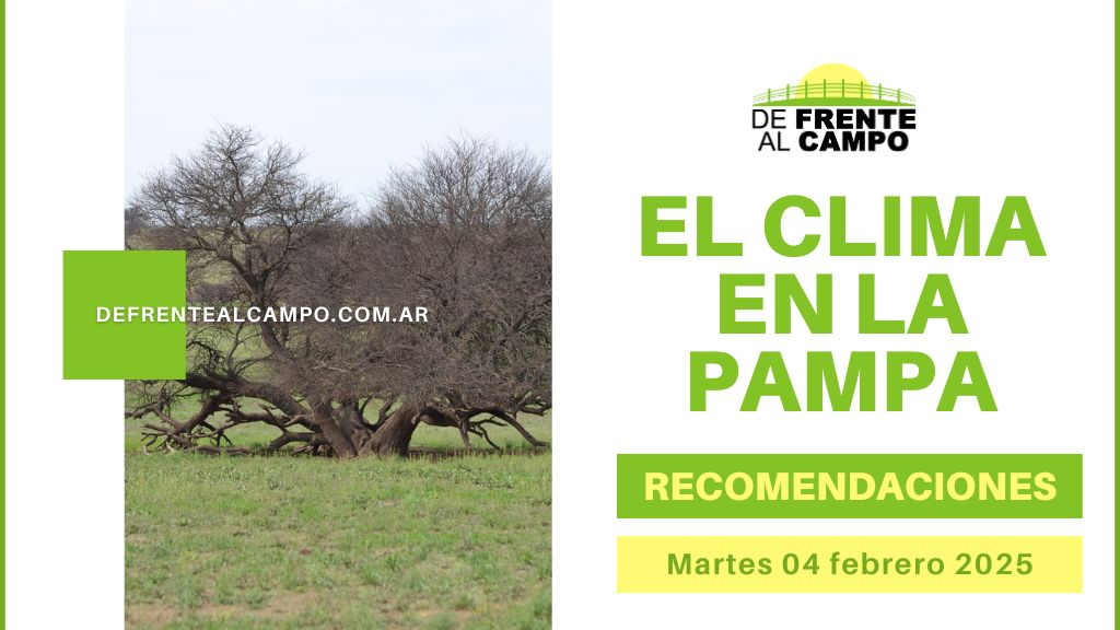 Jornada calurosa en La Pampa: máximas de 32°C y tormentas aisladas – Martes 04 de febrero del 2025