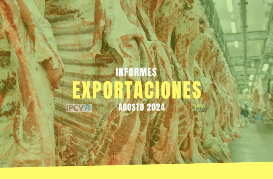 Exportaciones de carne vacuna: Crecimiento en volumen y valores en agosto 2024