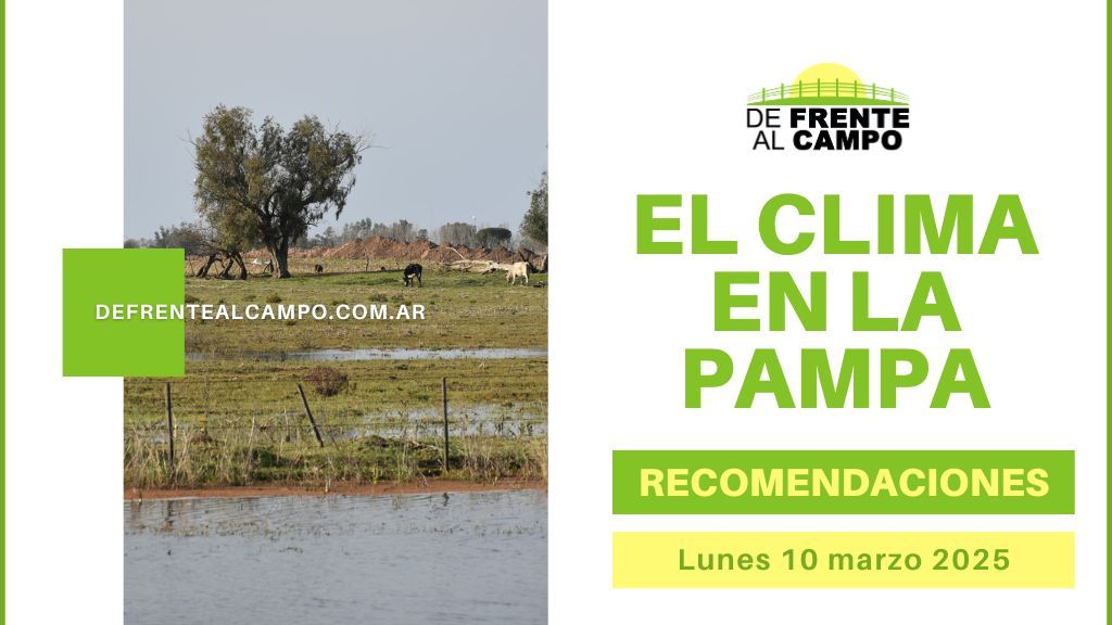 Clima en La Pampa este lunes 10 de marzo: jornada cálida con máximas de hasta 29°C y vientos moderados