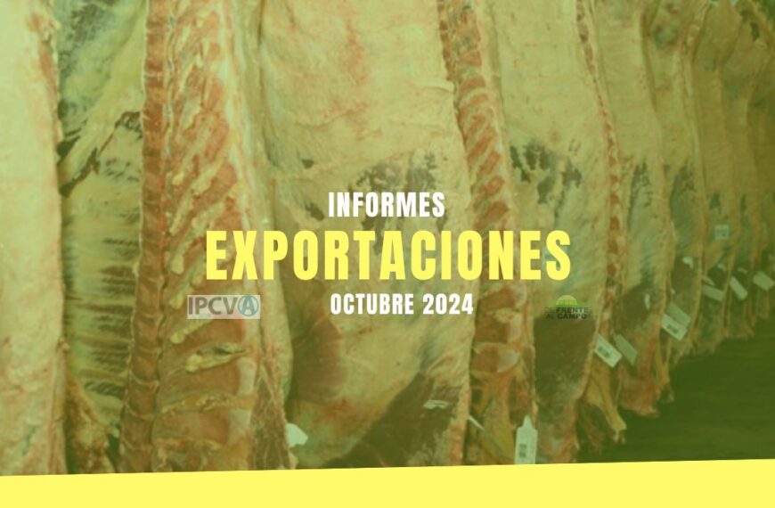 Exportaciones de carne vacuna: caída mensual, pero fuerte crecimiento interanual en Ocubre 2024