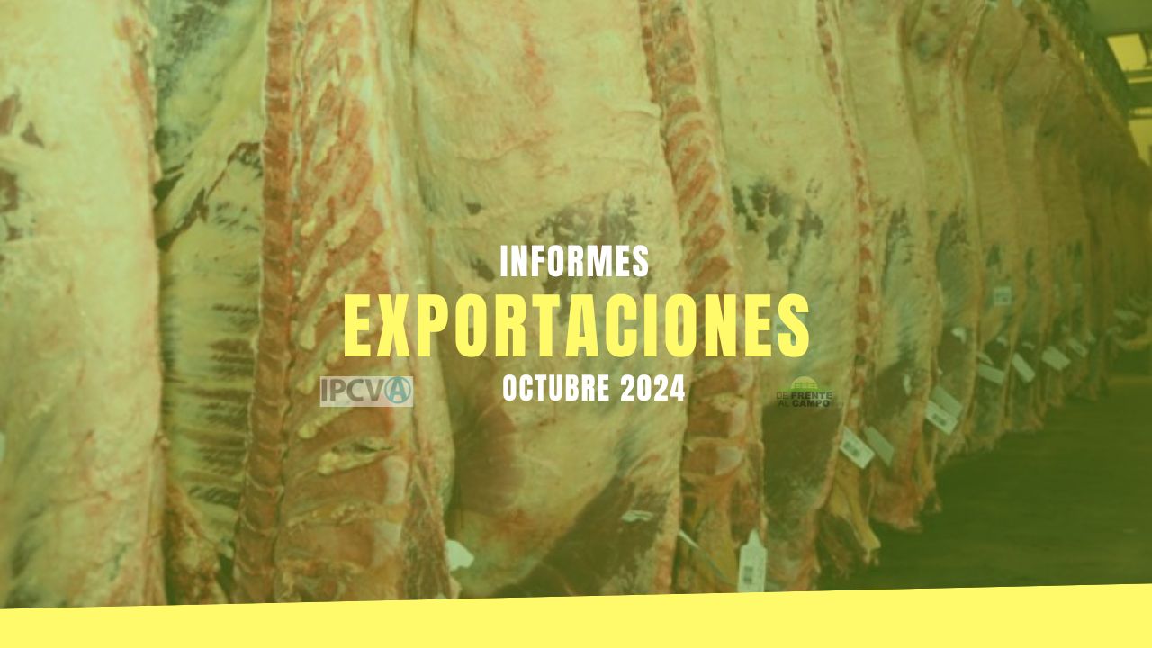 Exportaciones de carne vacuna: caída mensual, pero fuerte crecimiento interanual en Ocubre 2024