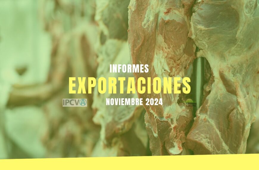 Exportaciones de carne vacuna: caída mensual del 4,9% pero crecimiento interanual del 16% en noviembre 2024