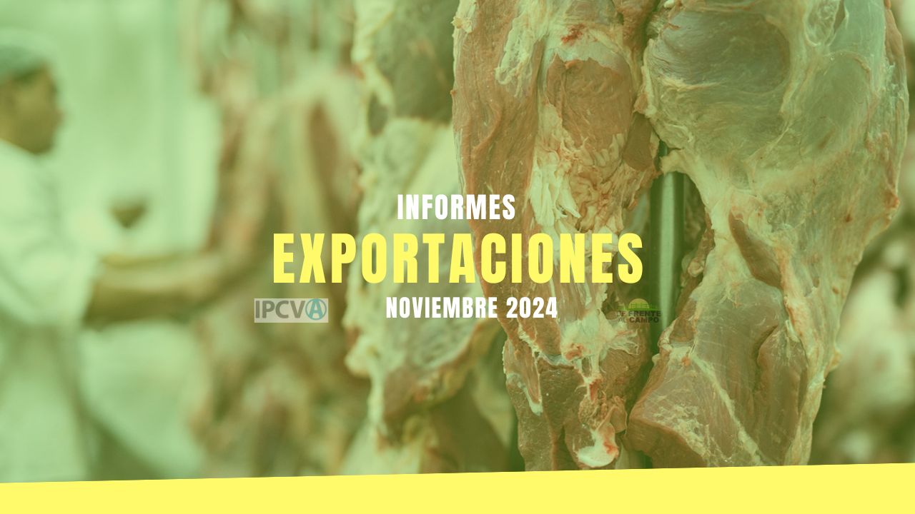 Exportaciones de carne vacuna: caída mensual del 4,9% pero crecimiento interanual del 16% en noviembre 2024