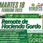 ATREU-CO | Macachín | Próximo Remate Feria el martes 18 febrero 2025