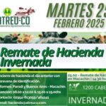 ATREU-CO | Macachín | Próximo Remate Feria el martes 25 febrero 2025