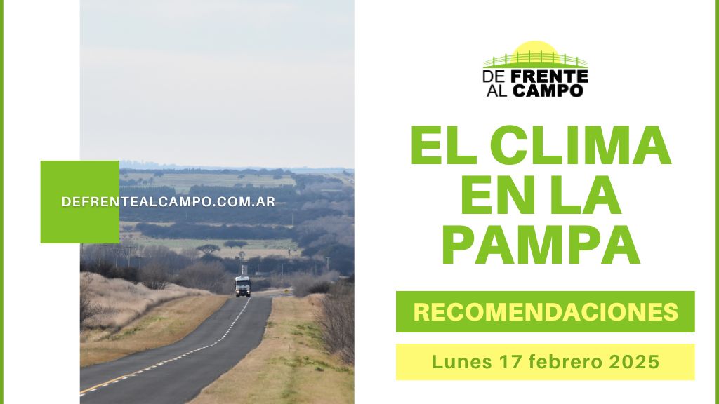 Día soleado en La Pampa este lunes 17 de febrero: clima agradable, sin lluvias y con una ola de calor en camino