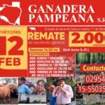 Ganadera Pampeana SRL | General Acha | Próximo Remate Feria el miércoles 12 de febrero 2025