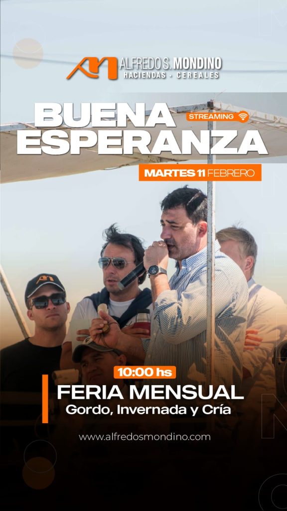 Alfredo S. Mondino | Buena Esperanza | Próximo Remate Feria el 11 de Febrero 2025